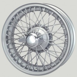 WW5917S - Aston Martin